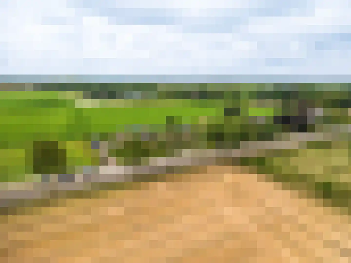Zandtangerweg 86 Mussel thumbnail 6