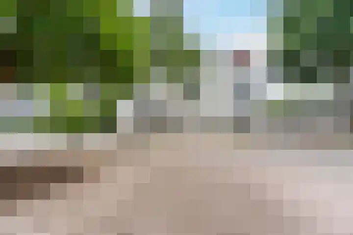 Zandtong 22 Eindhoven thumbnail 10