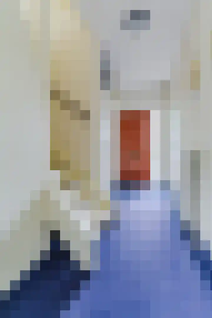 Zandtong 22 Eindhoven thumbnail 23