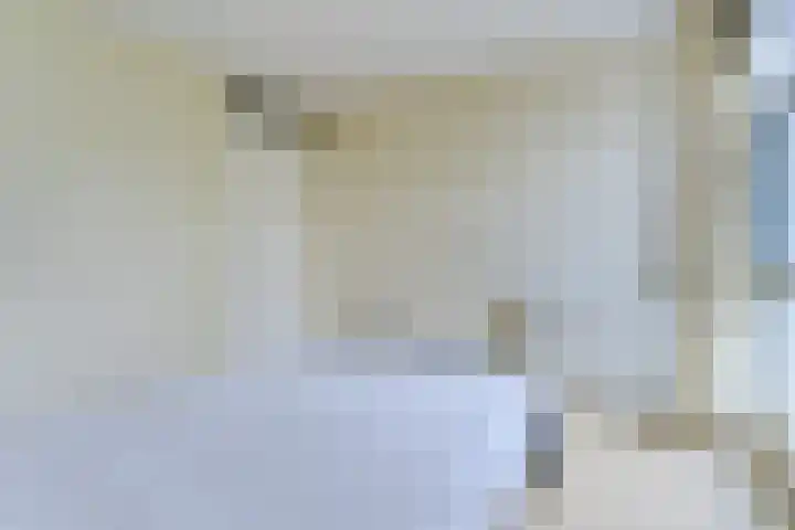 Zandtong 22 Eindhoven thumbnail 27