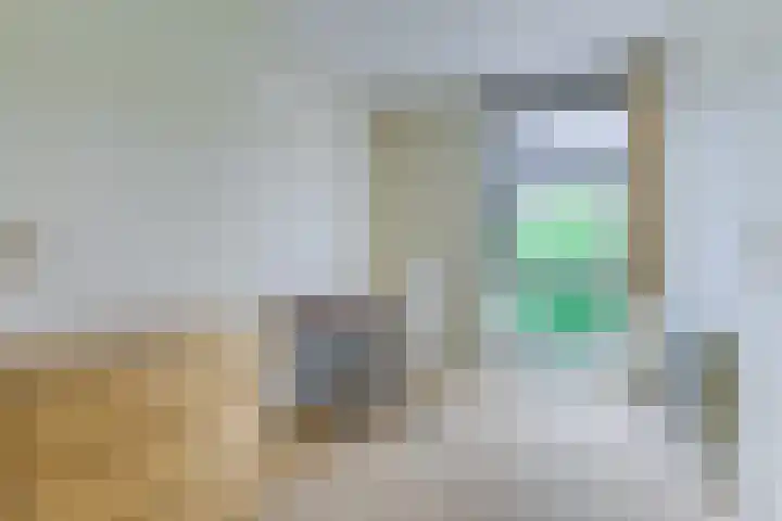 Zandtong 22 Eindhoven thumbnail 28