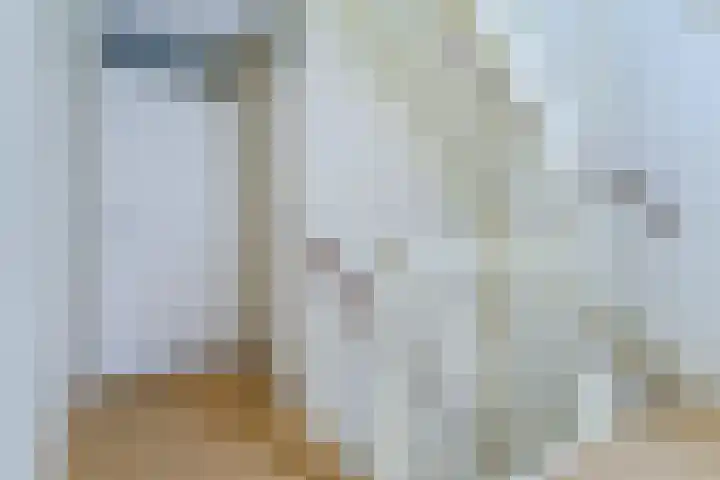 Zandtong 22 Eindhoven thumbnail 33