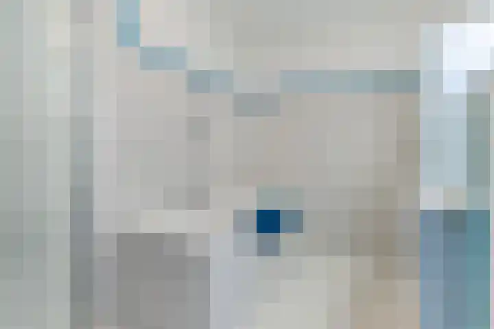 Zandtong 22 Eindhoven thumbnail 38