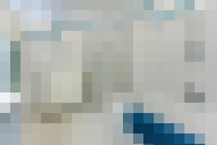 Zandtong 22 Eindhoven thumbnail 39
