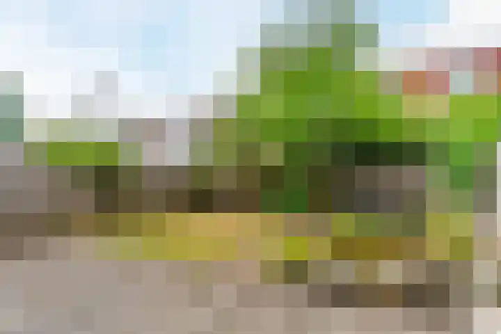 Zandtong 22 Eindhoven thumbnail 45