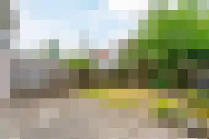Zandtong 22 Eindhoven thumbnail 46
