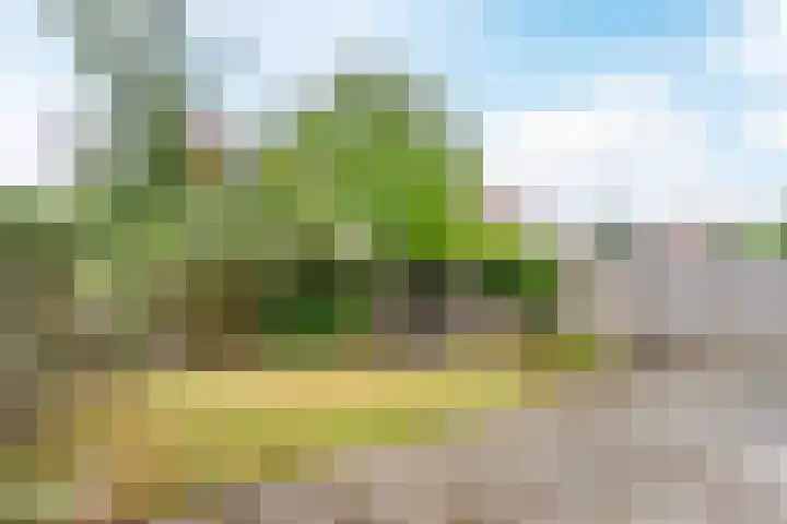 Zandtong 22 Eindhoven thumbnail 47