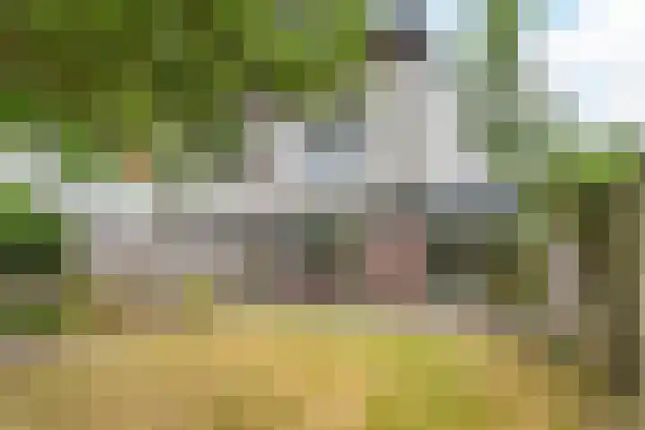 Zandtong 22 Eindhoven thumbnail 50
