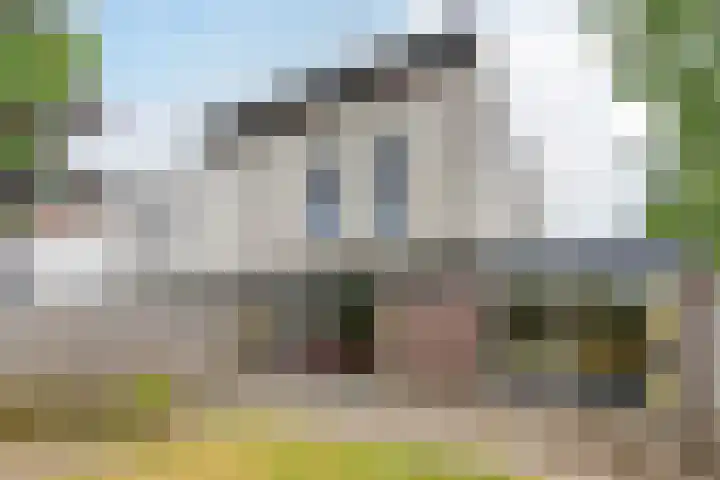 Zandtong 22 Eindhoven thumbnail 51