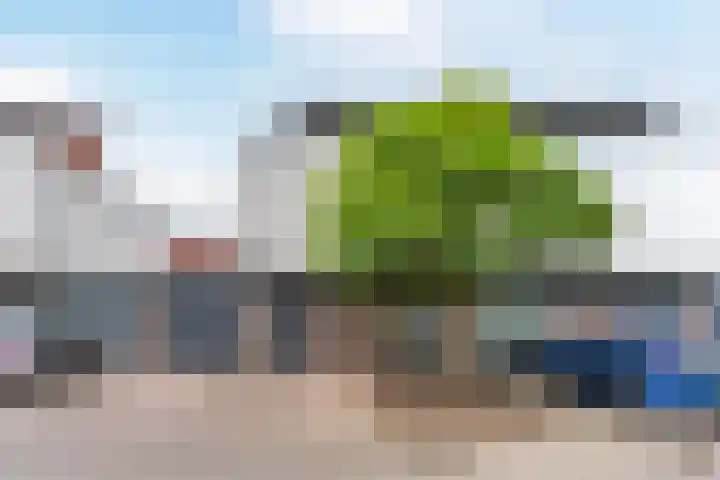 Zandtong 22 Eindhoven thumbnail 56