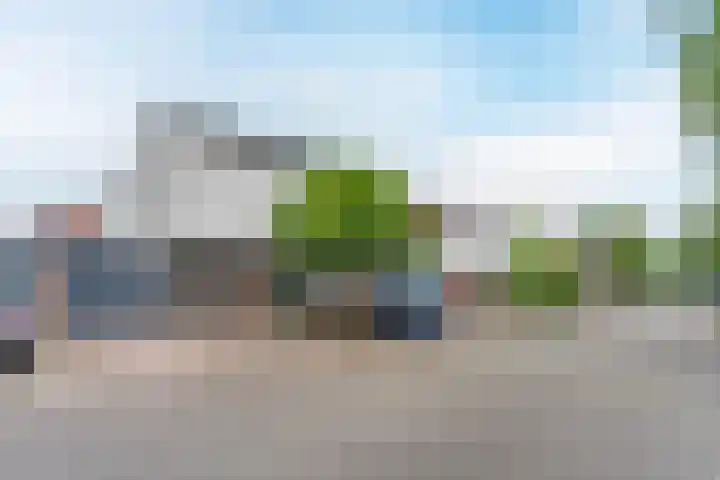 Zandtong 22 Eindhoven thumbnail 7
