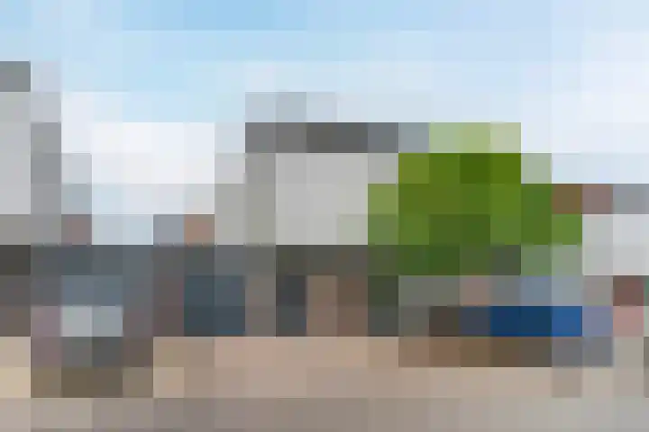 Zandtong 22 Eindhoven thumbnail 8