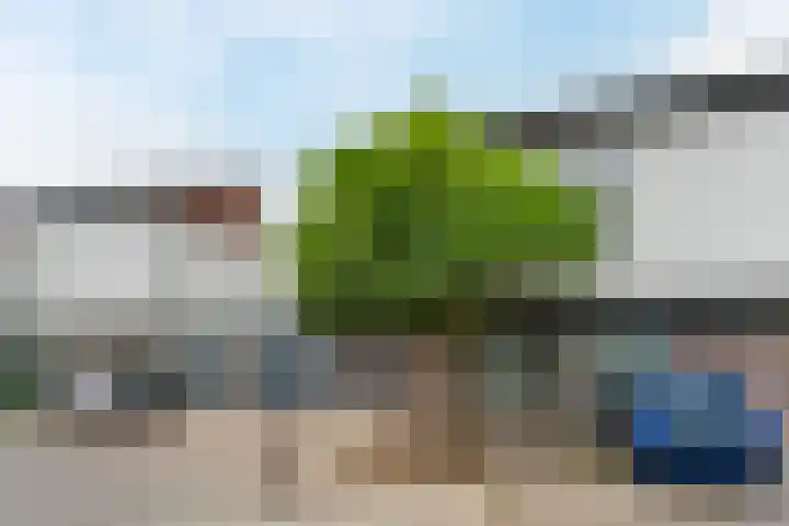 Zandtong 22 Eindhoven thumbnail 9