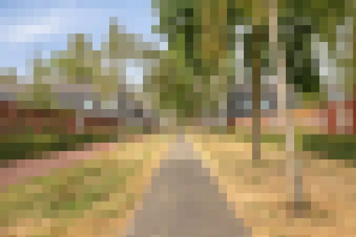 Zandtong 63 Eindhoven thumbnail 33