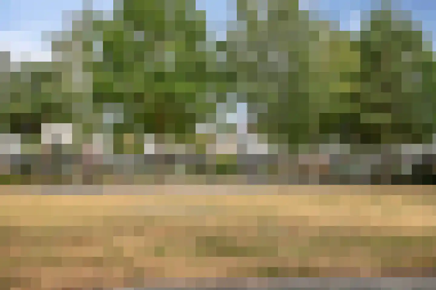 Zandtong 63 Eindhoven thumbnail 34