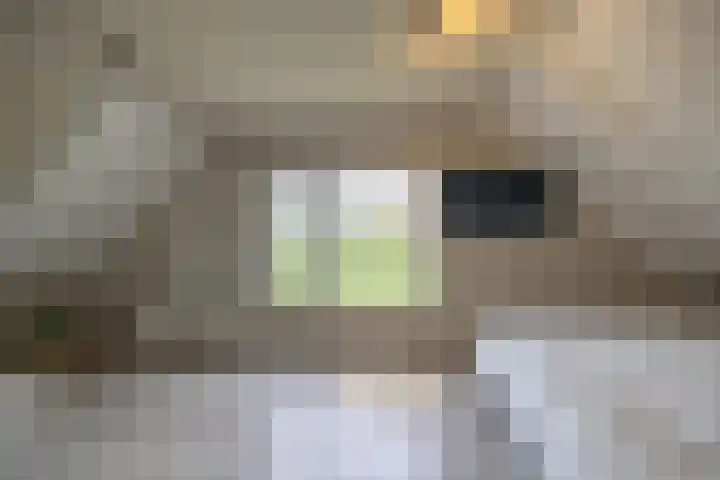Zandumerweg 58 Oldekerk thumbnail 26