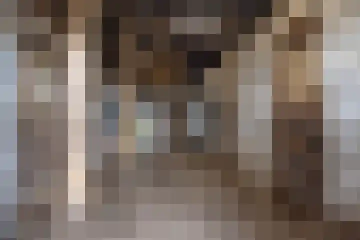 Zandumerweg 58 Oldekerk thumbnail 36