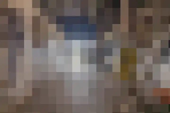 Zandumerweg 58 Oldekerk thumbnail 37