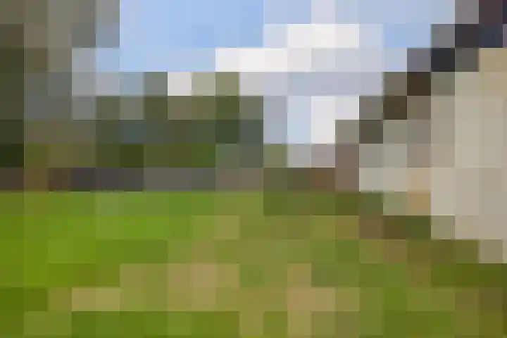 Zandumerweg 58 Oldekerk thumbnail 38