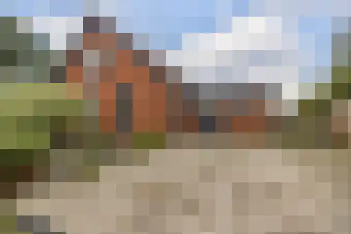 Zandumerweg 58 Oldekerk thumbnail 4