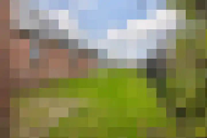 Zandumerweg 58 Oldekerk thumbnail 41