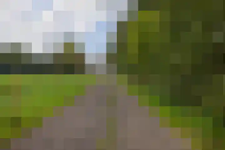 Zandumerweg 58 Oldekerk thumbnail 42