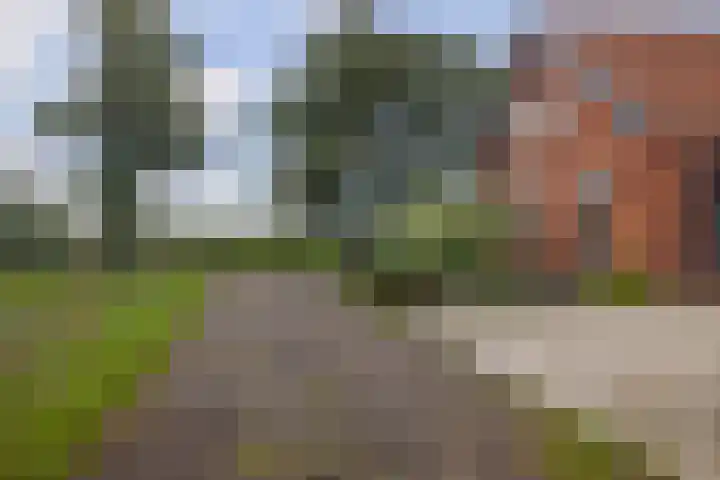 Zandumerweg 58 Oldekerk thumbnail 44
