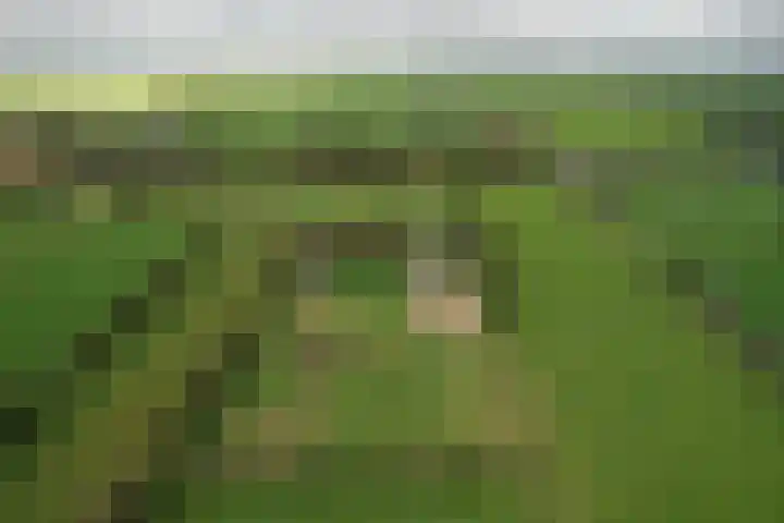 Zandumerweg 58 Oldekerk thumbnail 47