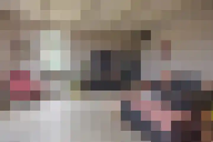 Zandumerweg 58 Oldekerk thumbnail 5