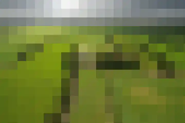 Zandumerweg 58 Oldekerk thumbnail 51