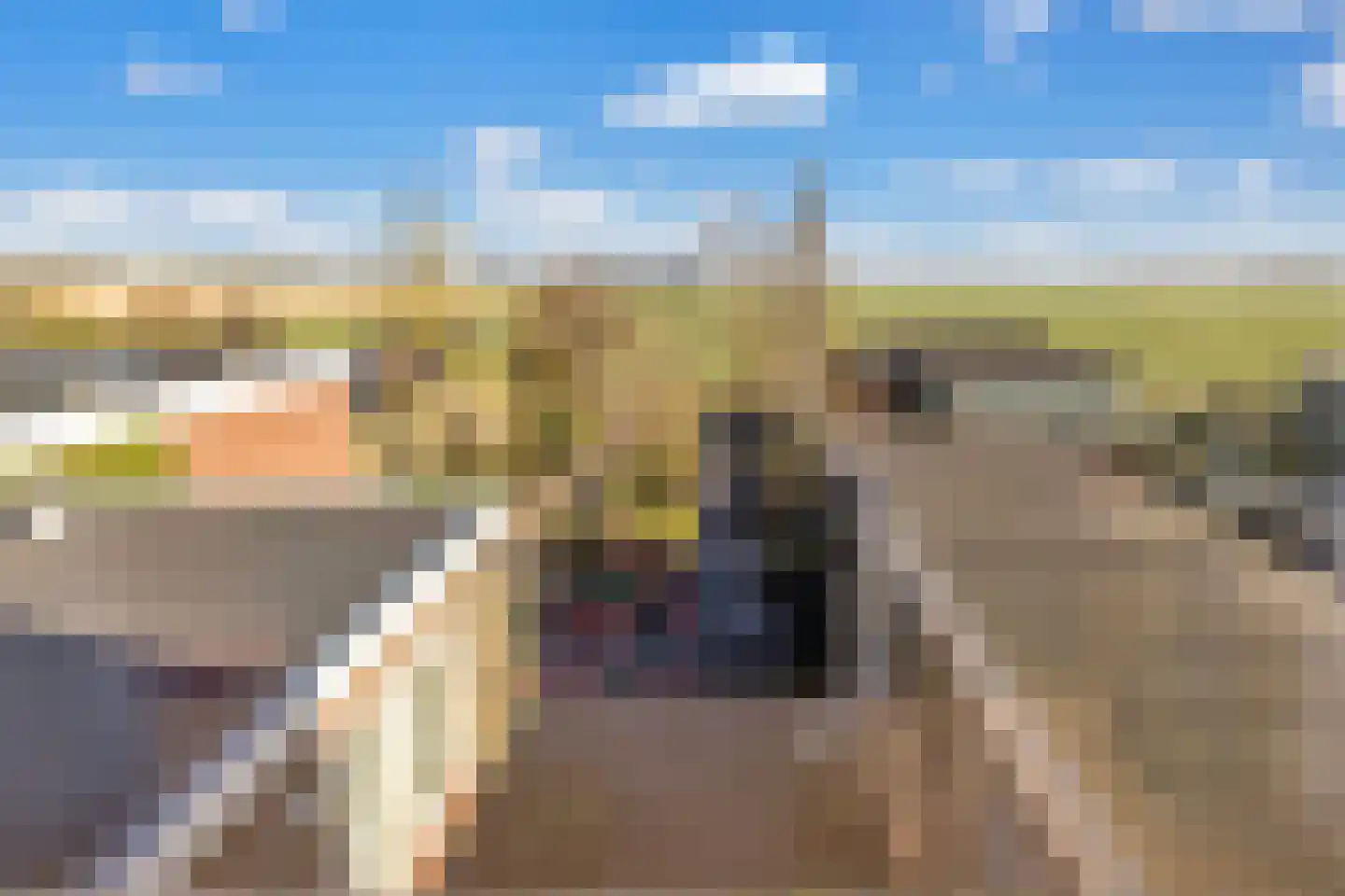 Zandvaart 10 Breezand thumbnail 31
