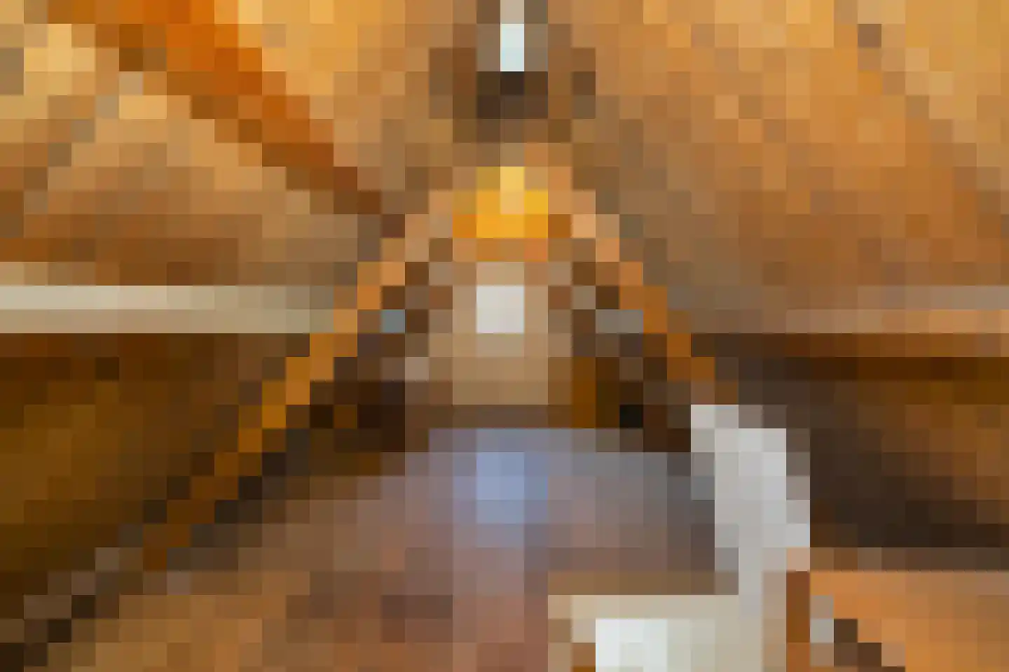Zandvaart 10 Breezand thumbnail 34