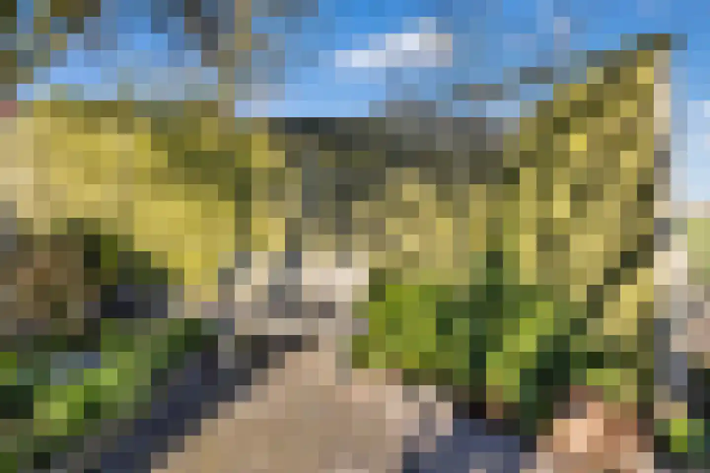 Zandvaart 10 Breezand thumbnail 38