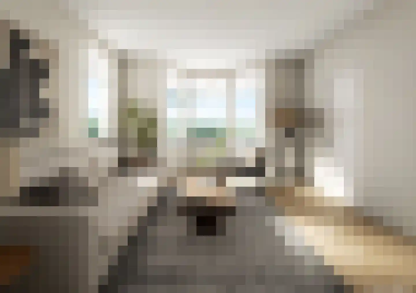 Zandvaart 10 Breezand thumbnail 9