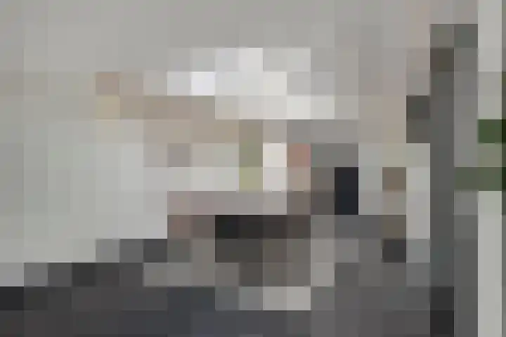 Zandvaart 117 Breezand thumbnail 12