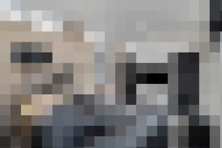Zandvaart 117 Breezand thumbnail 21