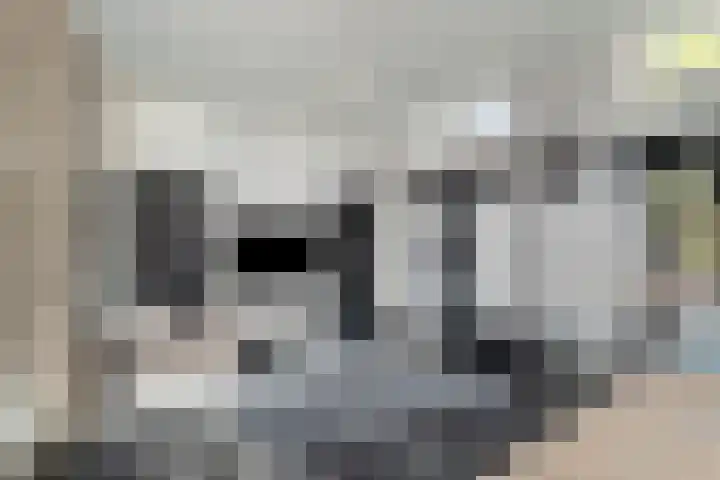 Zandvaart 117 Breezand thumbnail 22