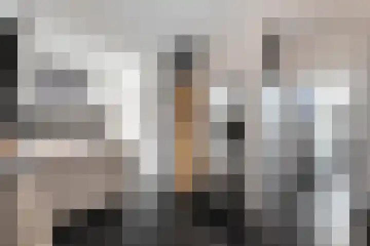 Zandvaart 117 Breezand thumbnail 24