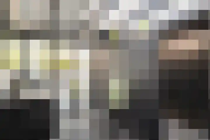 Zandvaart 117 Breezand thumbnail 33