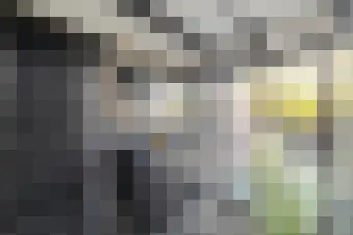 Zandvaart 117 Breezand thumbnail 34