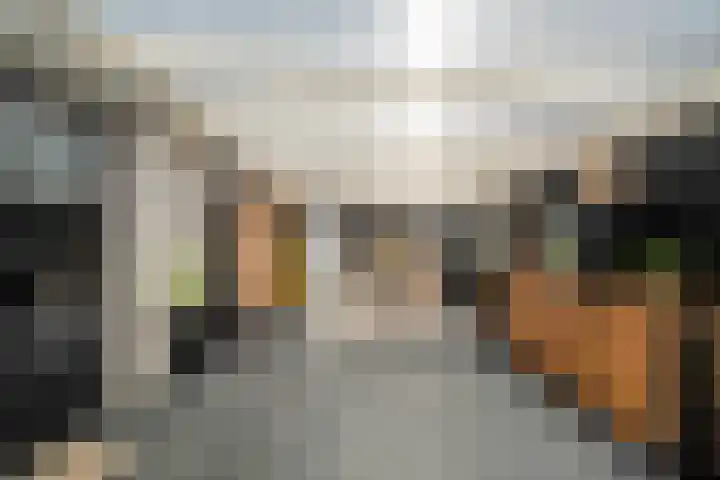 Zandvaart 117 Breezand thumbnail 37