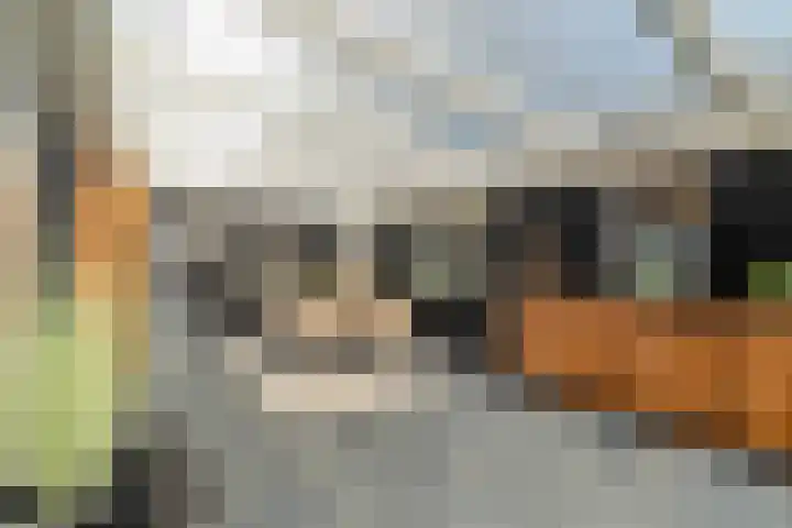 Zandvaart 117 Breezand thumbnail 38