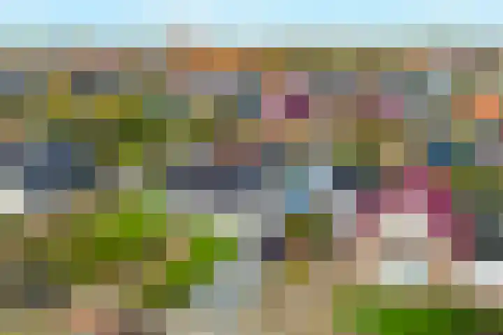 Zandvaart 117 Breezand thumbnail 4