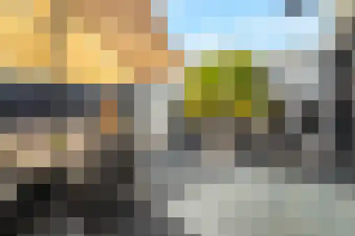 Zandvaart 117 Breezand thumbnail 42