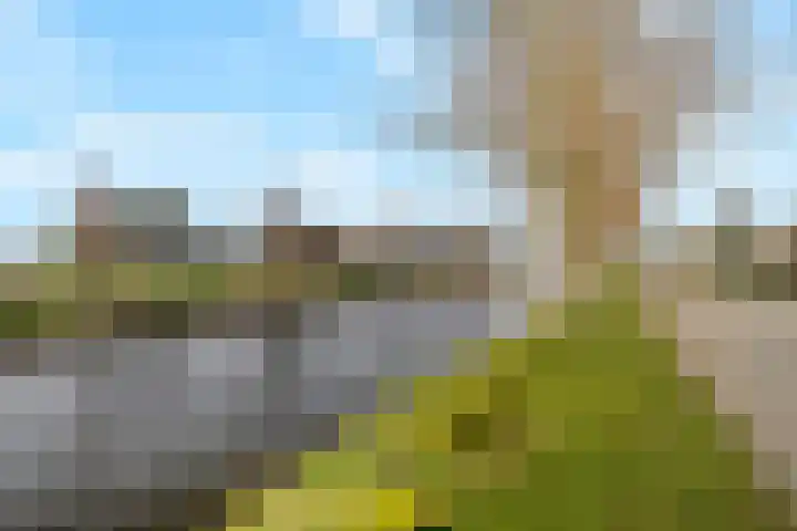 Zandvaart 117 Breezand thumbnail 44