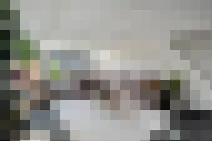 Zandvaart 117 Breezand thumbnail 8