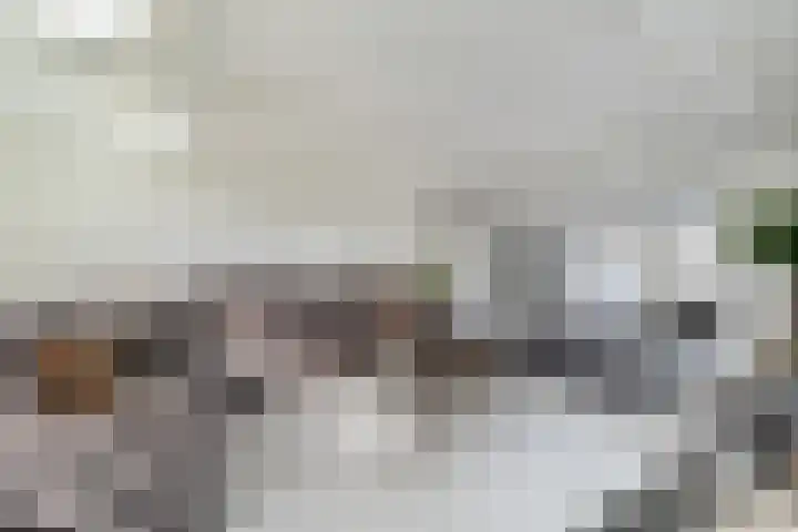 Zandvaart 117 Breezand thumbnail 9
