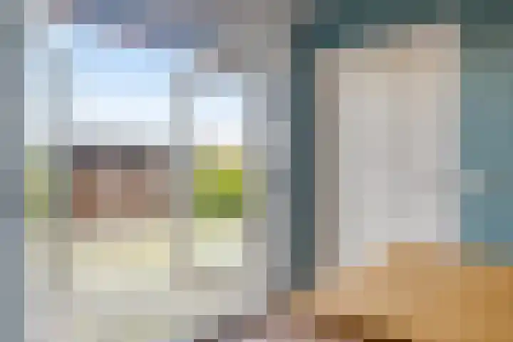 Zandvaart 153 Breezand thumbnail 17