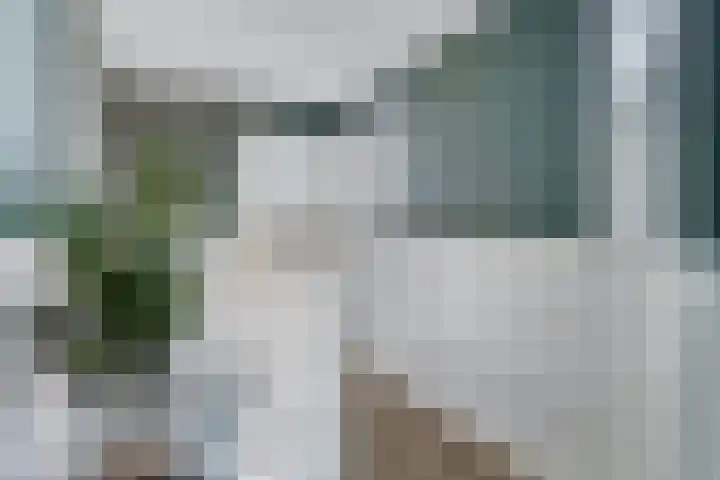 Zandvaart 153 Breezand thumbnail 20