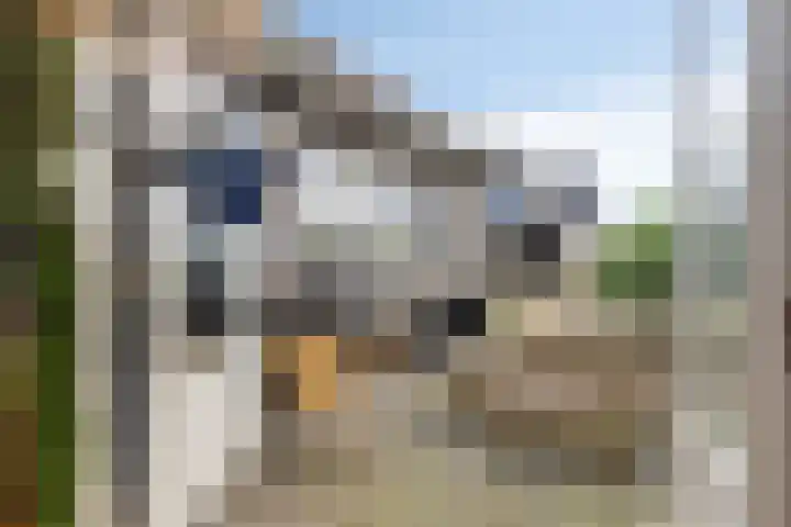 Zandvaart 153 Breezand thumbnail 48